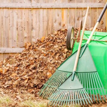 Що потрібно зробити на городі та в саду в листопаді