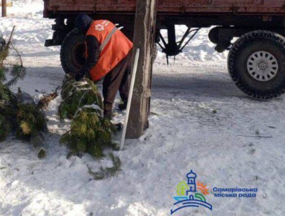 У місті Самар переробляють новорічні ялинки
