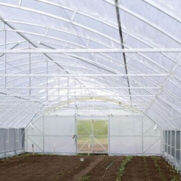 У Петриківській громаді стартує Програма підтримки овочівництва