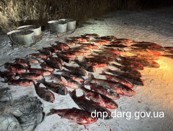 8 На Карачунівському водосховищі чоловік наловив риби на 240 тисяч