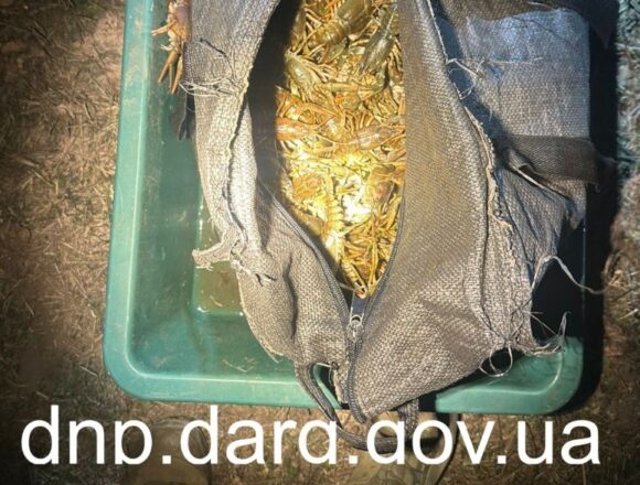 На Дніпропетровщині браконьєри наловили раків майже на 3 мільйони