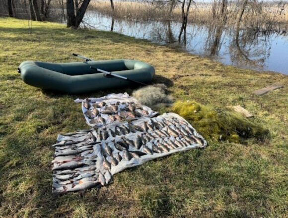 На Карачунівському водосховищі браконьєри наловили риби на 250 тисяч