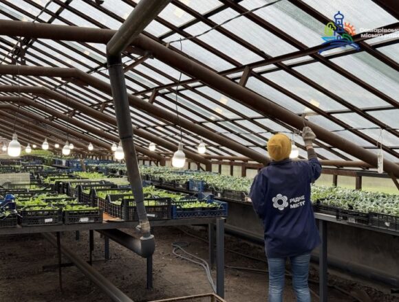 1 У Самарі запрацювала відновлена теплиця