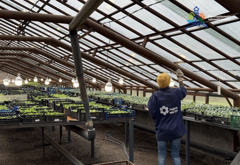 1 У Самарі запрацювала відновлена теплиця