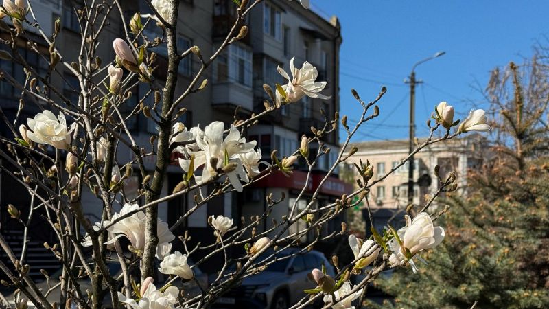 1 У Самарі розпочинається конкурс дворів