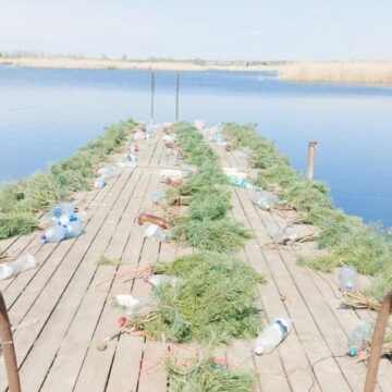 На Дніпровському водосховищі встановили штучні нерестовища