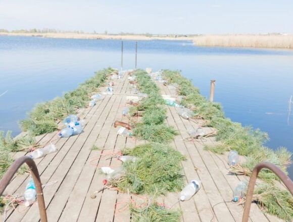 На Дніпровському водосховищі встановили штучні нерестовища