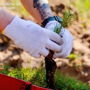 Кілька тисяч дерев висадили на Дніпропетровщині в пам’ять про загиблих оборонців