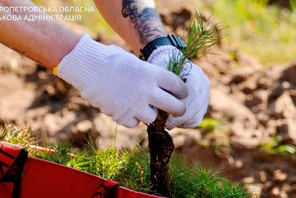 Кілька тисяч дерев висадили на Дніпропетровщині в пам’ять про загиблих оборонців