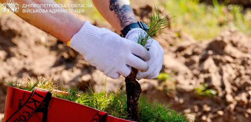 1 Кілька тисяч дерев висадили на Дніпропетровщині в пам’ять про загиблих оборонців