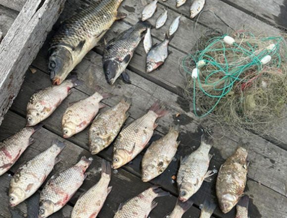 незаконний вилов риби На Дніпропетровщині правоохоронці вилучили сітки та незаконно виловлену рибу