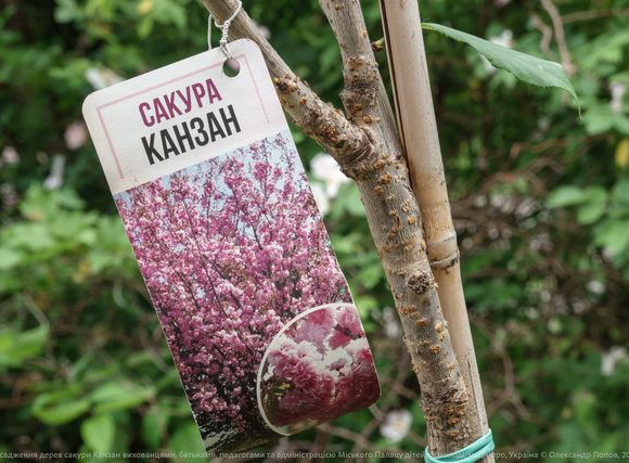 У Дніпрі створюють нову квітучу локацію