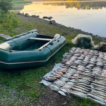 риба браконєри Заборонені сітки та понад 67 кг риби: у Петриківській громаді затримали браконьєра