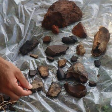 на Дніпропетровщині відкрили давнє поселення На Дніпропетровщині археологи відкрили невідоме поселення неоліту